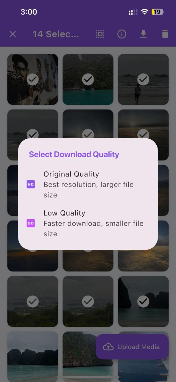 iPic download quality selection showing original quality and low quality options
